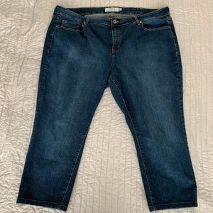 Torrid Boot Cut Jeans